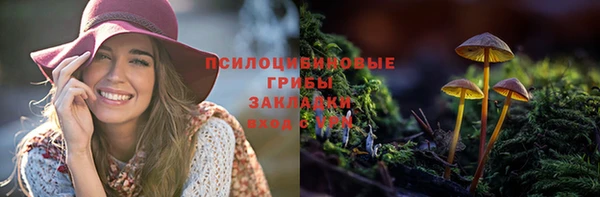 a pvp Володарск