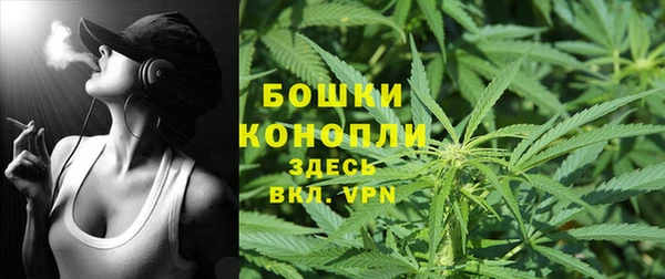 спиды Волосово