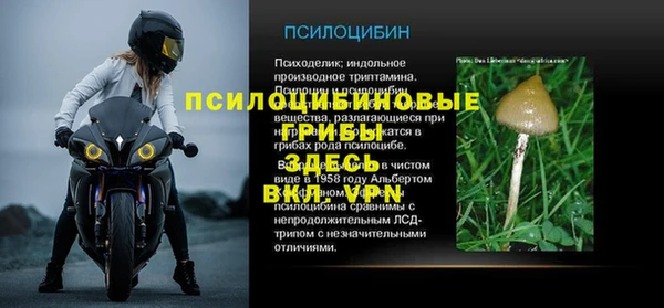 a pvp Володарск
