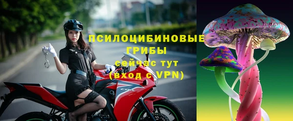 спиды Волосово